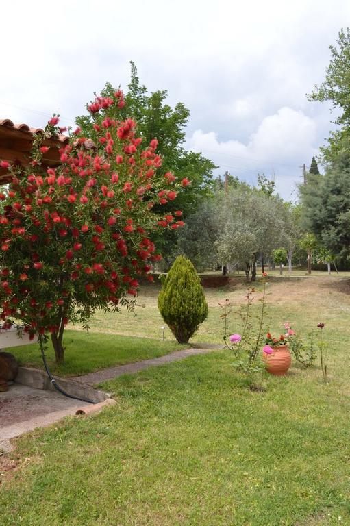 Hotel Ermis à Loutra Ipatis Extérieur photo